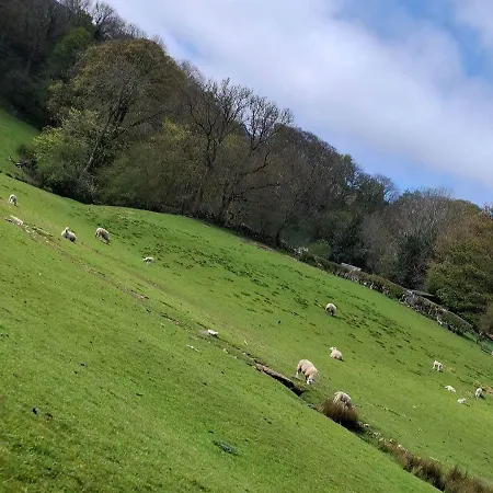 The Wensleydale Heifer Hotel 5*