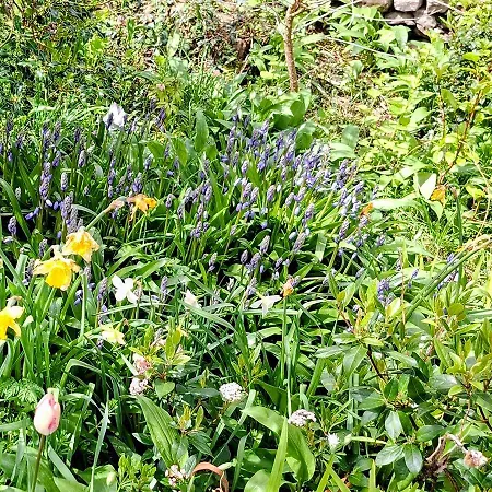 The Wensleydale Heifer Hotel
